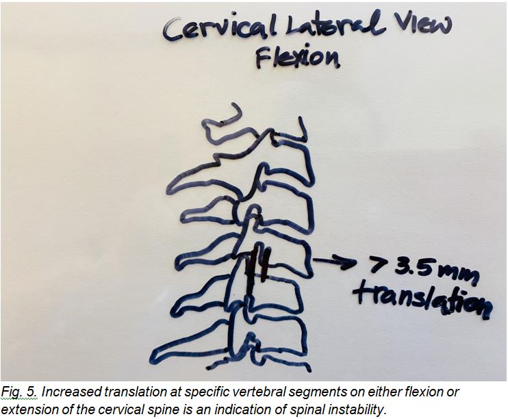 Portland Chiropractic